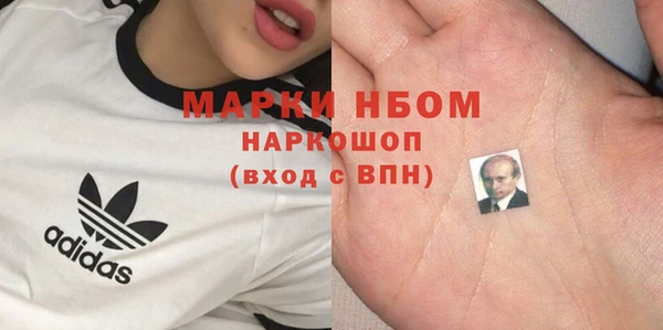 дживик Кинешма