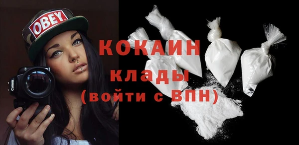 дживик Кинешма