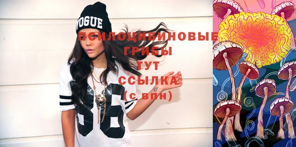 тгк Козельск