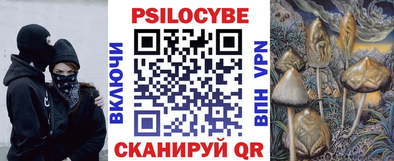 omg   Кедровый  Псилоцибиновые грибы мухоморы 